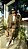 Conjunto camisa MAMBO - Imagem 5