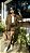 Conjunto camisa MAMBO - Imagem 4