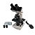Microscópio Biológico Binocular 40 a 1600x - Imagem 1