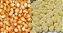 MILHO MUSHROOM PIPOCA GOURMET 100G - Imagem 2