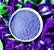 FLOR DA FADA AZUL EM PO BUTTERFLY PEA POWDER 30G - Imagem 1