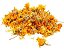 CHA CALENDULA FLOR 20G DESIDRATADA CALENDULA OFFICINALIS - Imagem 1