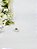 Piercing Estrela Cravejada em Prata 925 - Imagem 1