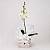 Orquídea Phalaenopsis com Cachepot de Madeira - Imagem 1