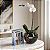 Kit Phalaenopsis com Erdinger - Imagem 4