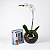 Kit Phalaenopsis com Erdinger - Imagem 1