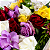 Buquê de Rosas Colombianas Coloridas - Imagem 3