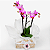 Mini Orquídea em Cachepot de Madeira - Imagem 3