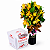 Cup de Alstromérias Amarelas com Raffaello - Imagem 1