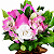 Cup de Rosas Nacionais Cor de Rosa - Imagem 3