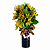 Cup de Alstromérias Amarelas - Imagem 2