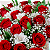 Buquê de 24 Rosas Vermelhas - Imagem 3