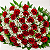Buquê de 36 Rosas Vermelhas - Imagem 3
