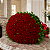 Mega Buquê de 100 Rosas Colombianas - Imagem 4