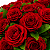 Mega Buquê de 100 Rosas Colombianas - Imagem 3