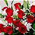 Buquê de 12 Rosas Vermelhas - Imagem 3