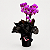 Mini Orquídea com Cachepot Preto - Imagem 2