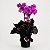 Mini Orquídea com Cachepot Preto - Imagem 1