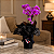 Mini Orquídea com Cachepot Preto - Imagem 4