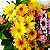Buquê de Flores do Campo Coloridas - Imagem 3