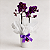 Mini Orquídea com Cachepot Branco - Imagem 1