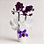 Mini Orquídea com Cachepot Branco - Imagem 2