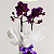Mini Orquídea com Cachepot Branco - Imagem 3