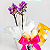 Kit Mini Phalaenopsis Johnson’s para Maternidade - Imagem 7