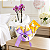 Kit Mini Phalaenopsis Johnson’s para Maternidade - Imagem 12