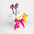 Kit Mini Phalaenopsis Johnson’s para Maternidade - Imagem 6