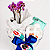 Kit Mini Phalaenopsis Huggies para Maternidade - Imagem 3