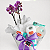 Kit Mini Phalaenopsis Huggies para Maternidade - Imagem 10