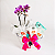 Kit Mini Phalaenopsis Huggies para Maternidade - Imagem 7