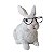 Coelhinho com Óculos - Imagem 1