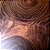 Tabua de madeira maciça - Ipê - Imagem 6