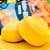Pãozinho de Batata Belive | sem glúten e sem leite '198g - Imagem 2