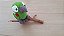 Amigurumi papagaio - Imagem 1