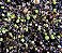 Astrophytum asterias cv Superkabuto - 05 sementes - Imagem 2