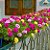 Sementes da Flor Onze Horas Double Sortida (Portulaca grandiflora) - Imagem 3