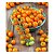 Sementes de Tomate Cereja Laranja - 30 sementes - Imagem 1