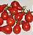 Sementes de Tomate Pêra Vermelho - 30 sementes - Imagem 1