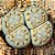 Lithops fulleri var. rouxii - 10 sementes - Imagem 1