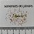 Sementes de Lithops pseudotruncatella subs. dendritica (10 sementes) - Imagem 4