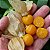 Sementes de Lanterna Chinesa (Physalis peruviana) - Imagem 4