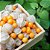 Sementes de Lanterna Chinesa (Physalis peruviana) - Imagem 5
