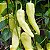 Sementes de Pimenta Doce Sweet Banana Pepper (Capsicum annuum) - Imagem 1