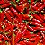 Sementes de Pimenta Malagueta (Capsicum frutescens) - Imagem 1