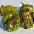 Sementes de Pimenta Trinidad Scorpion Olive - 2ª mais forte do mundo! - Imagem 1