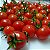 Sementes de Tomate Cereja Vermelho - Imagem 2