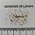 Sementes de Lithops Mix 'Pedras Vivas Africanas' (100 Sementes) - Imagem 2